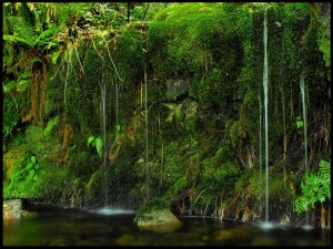 Ruta de senderismo con encanto en Fornelo de Montes