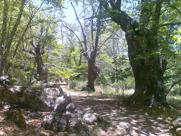 Ruta de senderismo en Sierra de Gredos