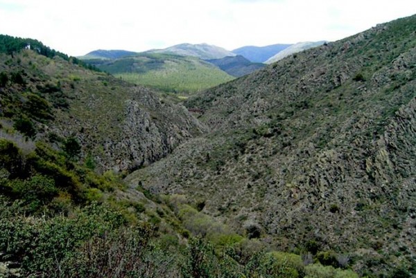 Senderismo por el Jarama en el arroyo Palancares
