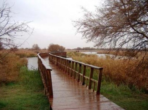 Rutas en el parque de las Tablas de Daimiel