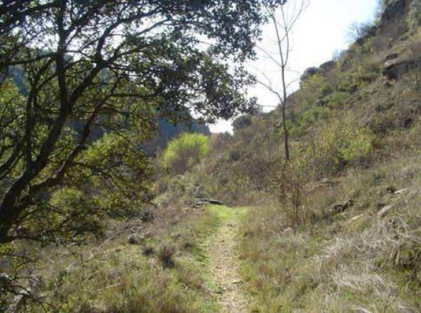 La otra ruta de senderismo del Jarama