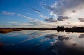 Visita a las Tablas de Daimiel