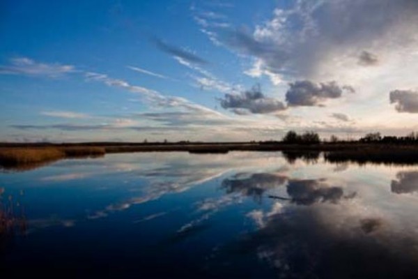 Visita a las Tablas de Daimiel