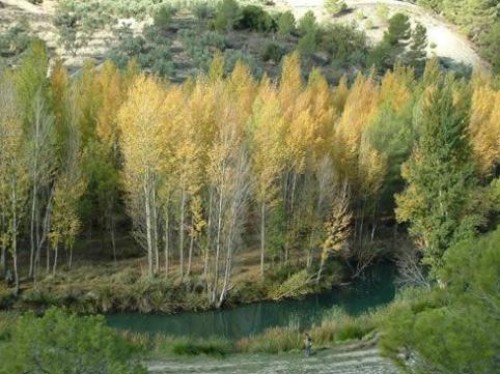 Ruta de senderismo por el río Peralta en Jaén