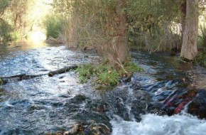 Ruta de senderismo por el río Peralta en Jaén
