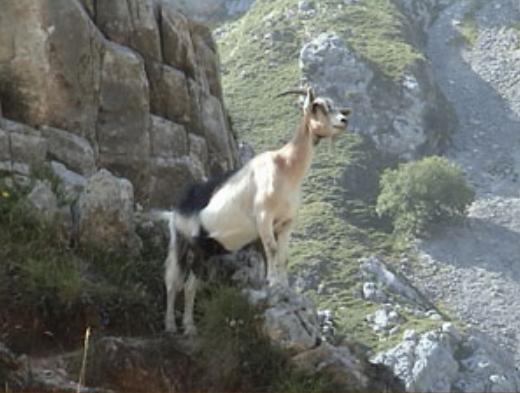 Ruta del Cares en los Picos de Europa entre Asturias y León