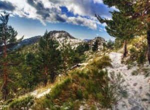 Ruta de senderismo Cuerda de las Cabrillas en Navacerrada en Madrid