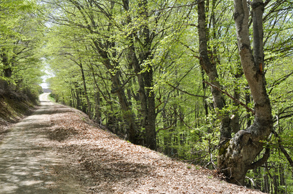 6 itinerarios y rutas senderistas en la provincia de Tarragona