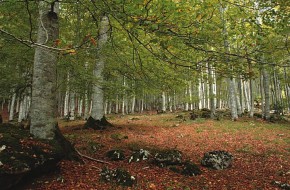 parque natural urbasa